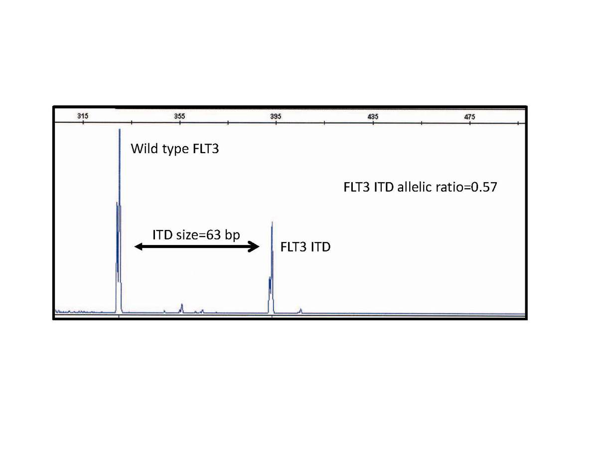 FLT mutation testing